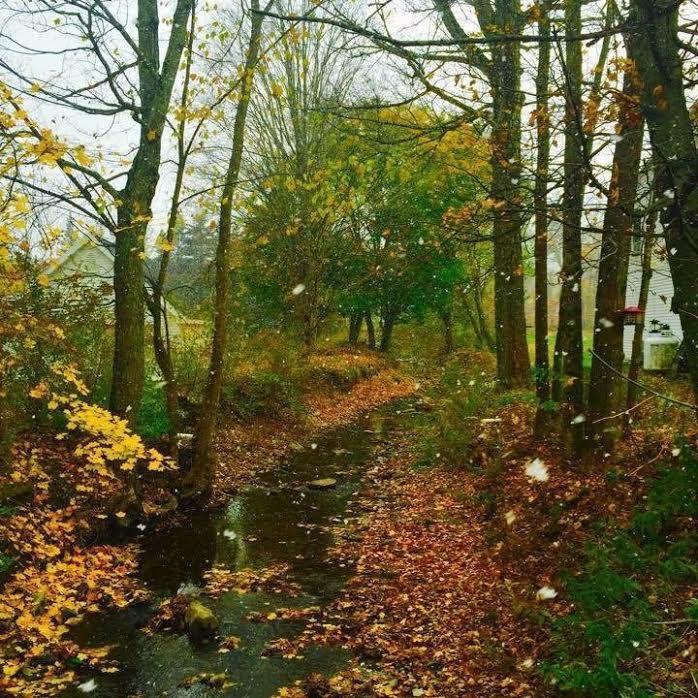 Brookside Inn At Laurens Exteriör bild